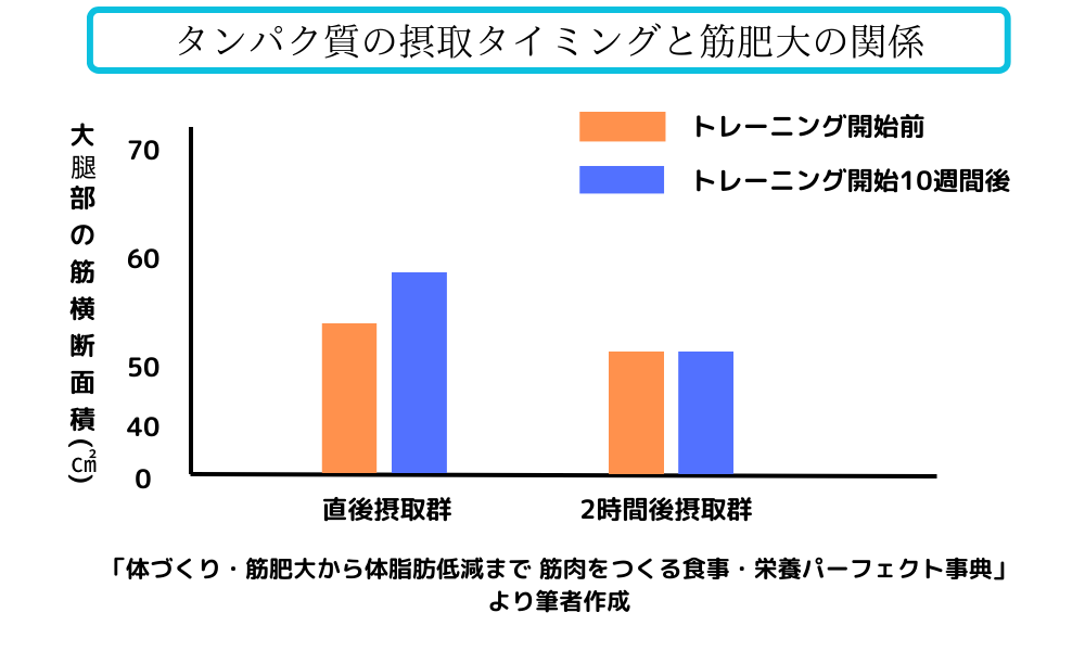 タンパク質の摂取タイミングと筋肥大の関係の図