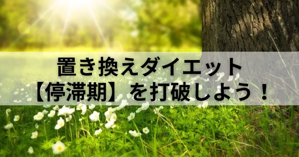 置き換えダイエットの途中から痩せなくなった【停滞期】を打破しよう！