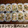 筋トレには作り置き【豚バラとチンゲン菜のにんにく炒め10食分】